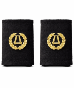 PASSADORES DE AUXILIAR